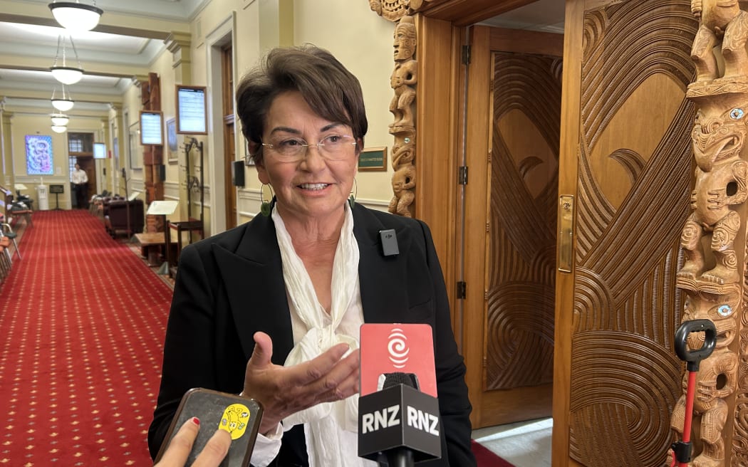 Former National minister Minister Hekia Parata made a submission to the Justice Select Committee on the Treaty Principles Bill, 13 February 2025.