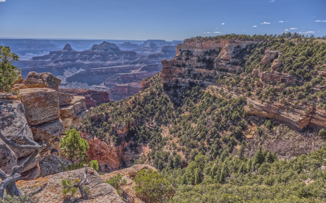 View of Honan Point on the North Rim of Grand Canyon National Park, Arizona.