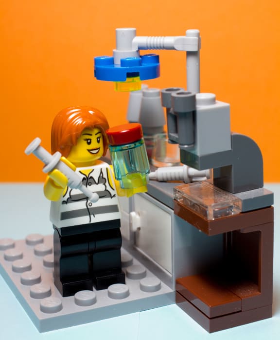 Gender differences set in at undergraduate study and are more evident in some science disciplines.