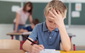 The report said schools needed more resources and better training so they could provide an inclusive education.