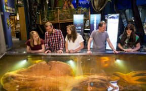 Visitors view Te Papa's colossal squid