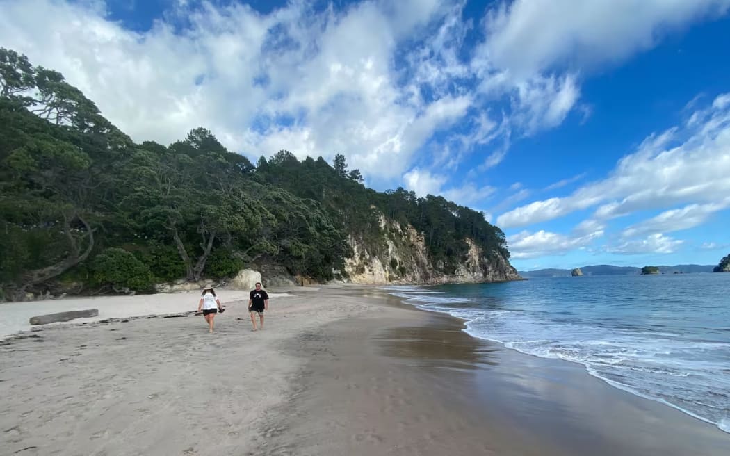 The northern end of Hāhei Beach on the Coromandel Peninsula, where a boy died after falling from a cliff. Photo / Al Williams