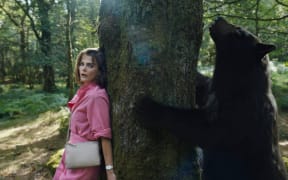 Cocaine Bear