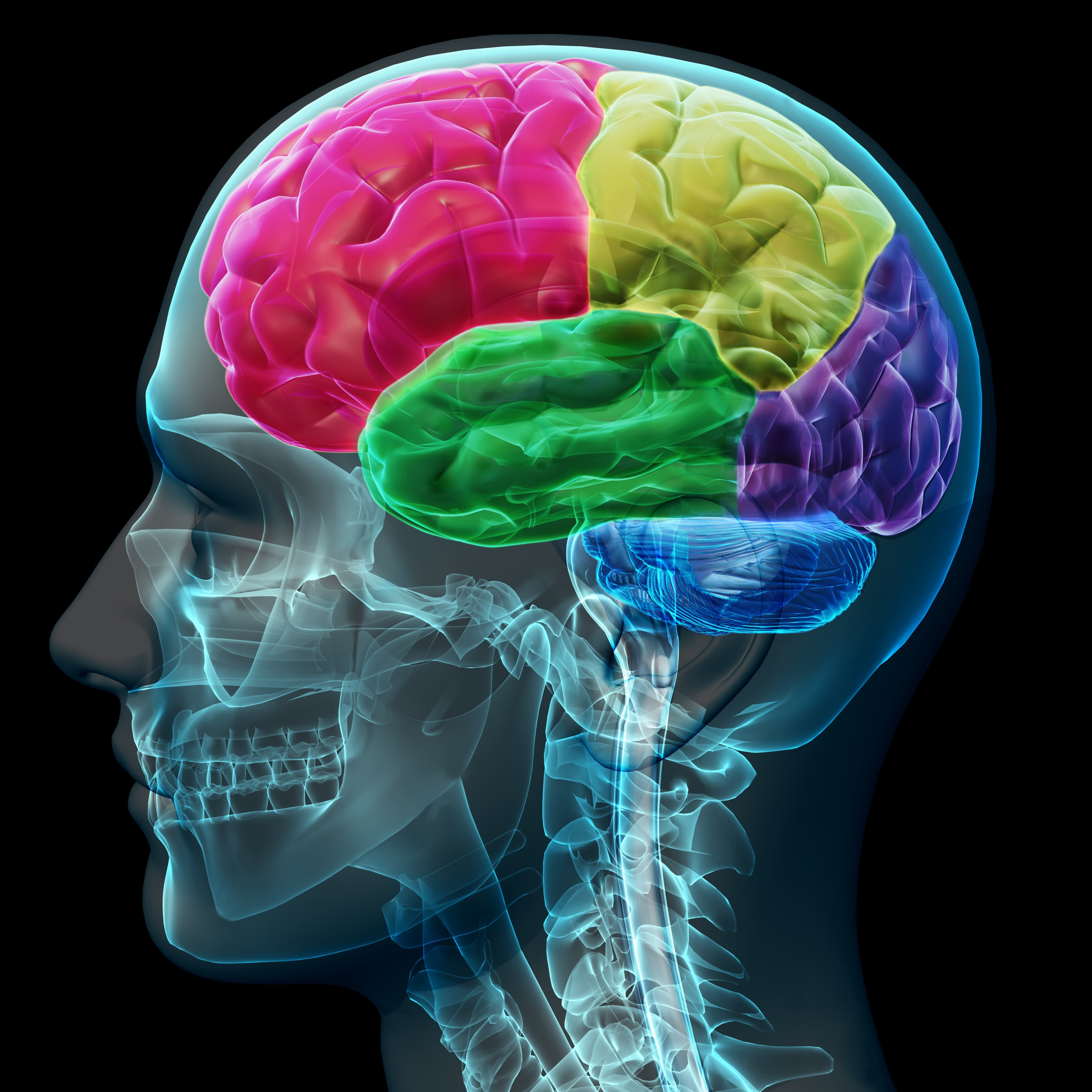 What happens in your brain when you can’t stop laughing? | RNZ