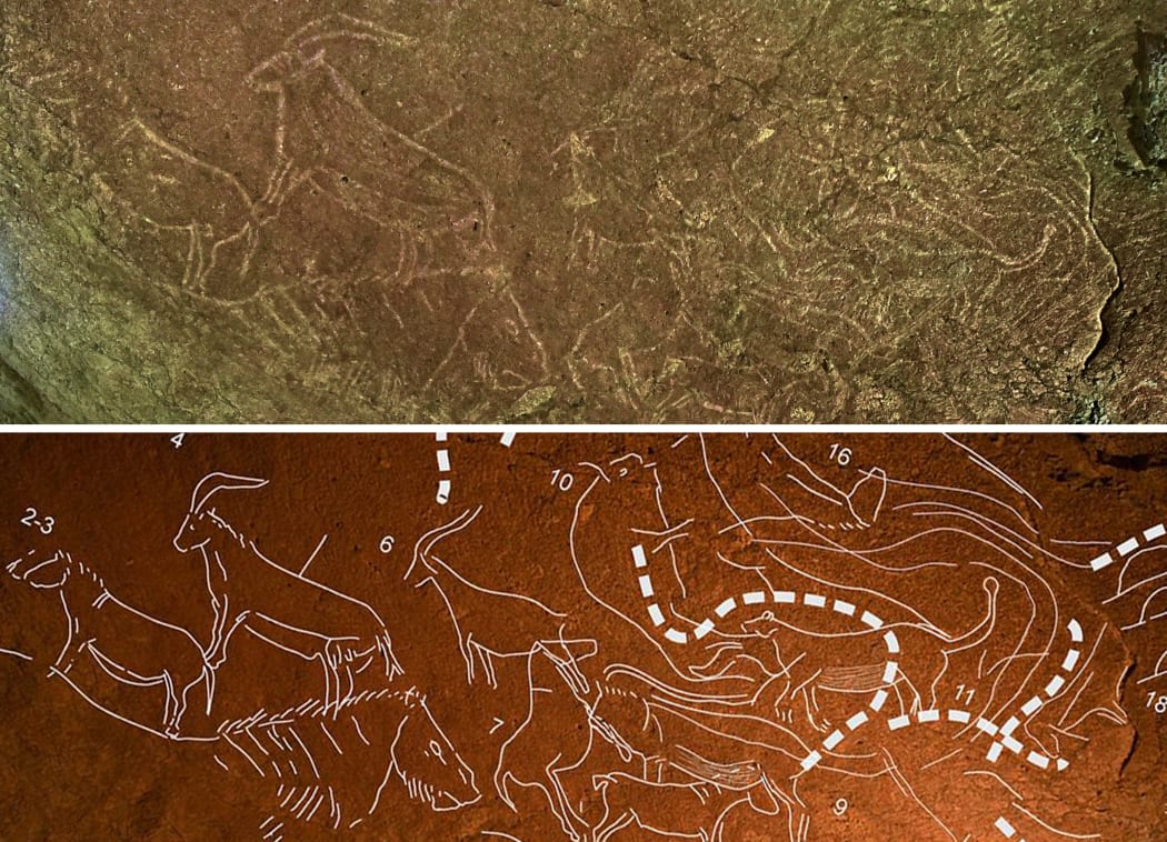 Cave engravings (top) representing animals like horses, bisons, lions or goats, and a highlighted version, in the Armintxe cave in the Basque village of Lekeitio.