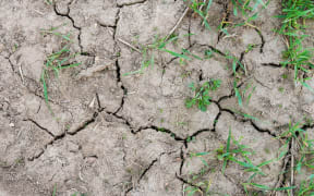 cracked earth