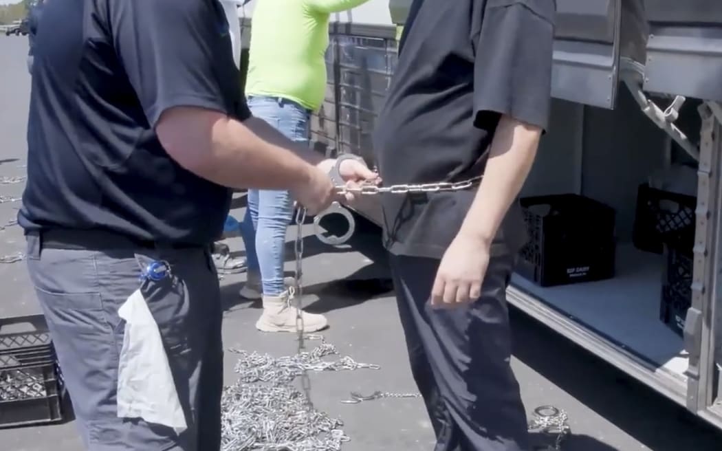 This image from video provided by US Immigration and Customs Enforcement shows a person being handcuffed at the Hyundai Motor Group’s electric vehicle plant, in Ellabell, Georgia, on September 4.