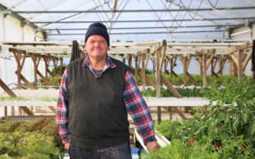 The lettuce man