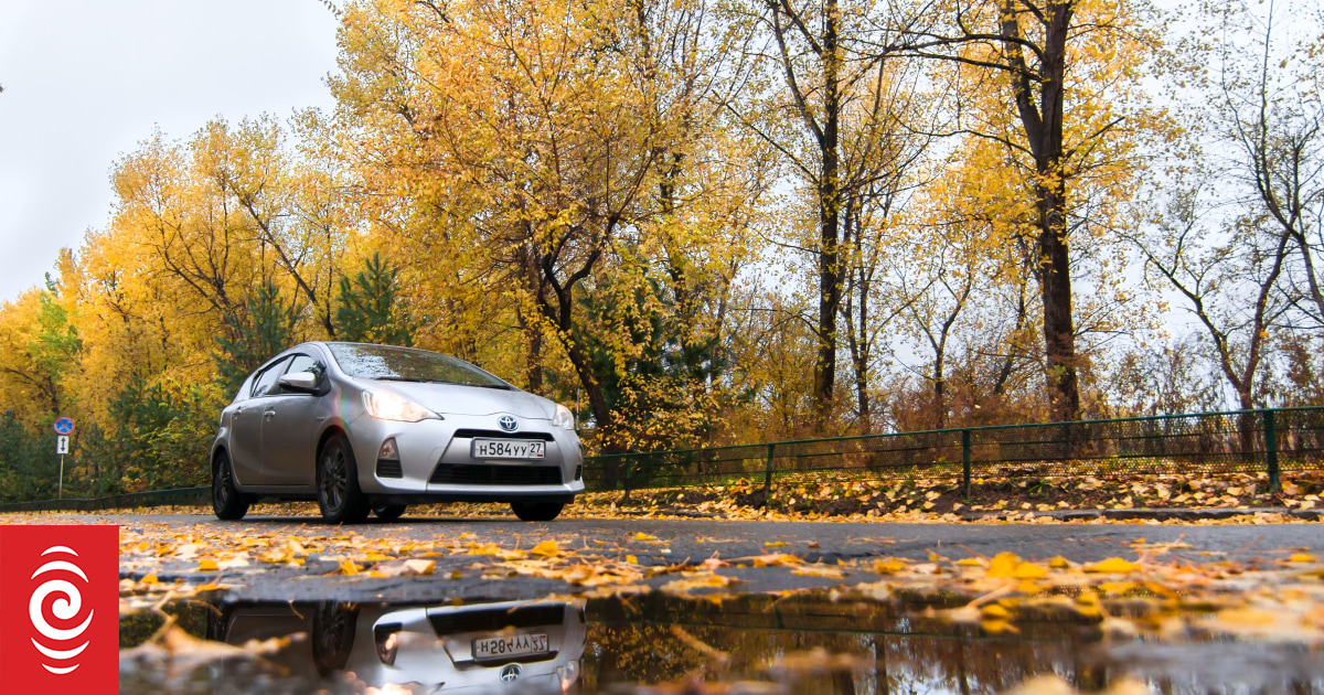 保险支出一年翻番，新西兰“最招贼惦记”的车是什么？