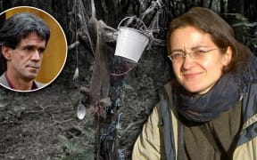 Michael Scott Wallace is now eligible for parole after being imprisoned for the 2005 murder of German backpacker Birgit Brauer.