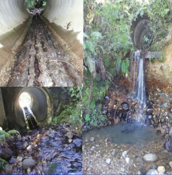 Mussel ropes in culverts