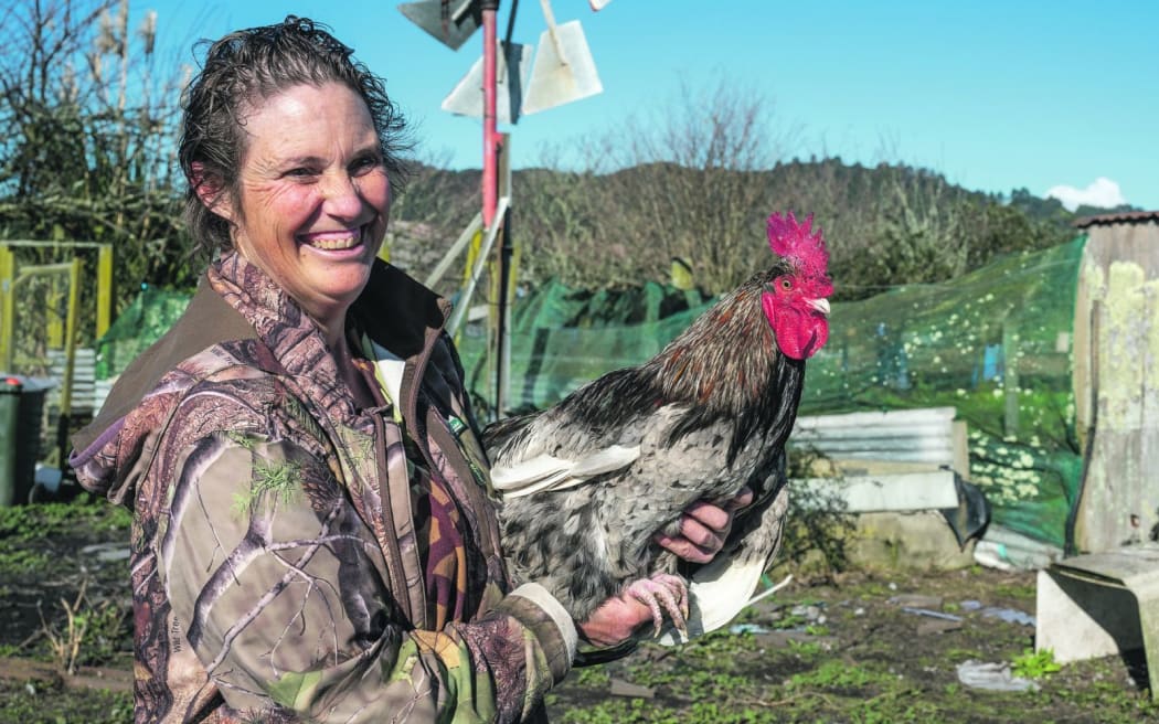 Nicola Wood keeps about 100 free range chickens and has rehomed some roosters from Wardlaw Glade.