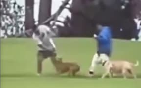 A dog charity shared a video to social media which shows a man abusing a brown dog in a public park. A woman walking with the man also appears to kick the animal. 5 May 2025
