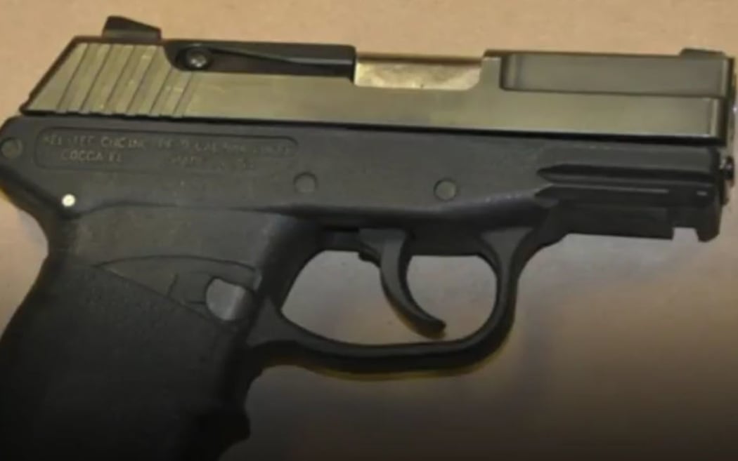 The pistol used to kill unarmed US black teenager Trayvon Martin appears to have been removed from an online auction.