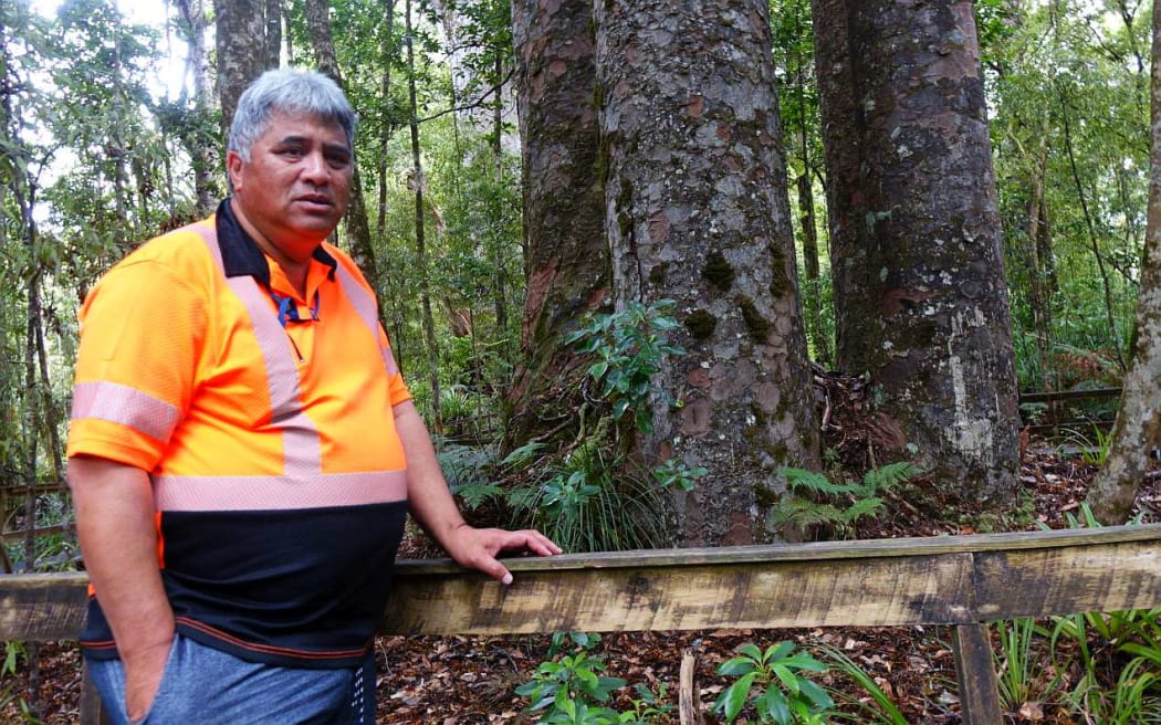 Snow Tane of Te Roroa wories about the effect of Kauri die-back on the Waipoua Forest.