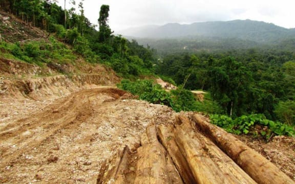 Logging tracks run like scars across the face of a tropical rainforest on Malaita in Solomon Islands.