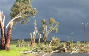 All of South Australia was left without power on Wednesday after high winds hit the state.