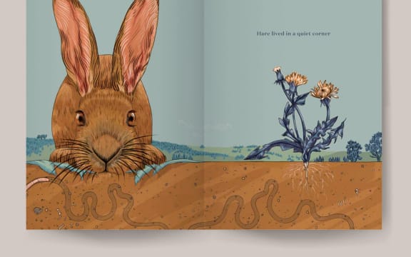 Hare & Ruru, Laura Shallcrass