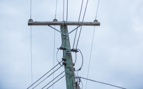 Power lines in the Hawkes Bay area.