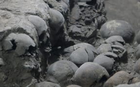 The skulls were discovered in the area of the Major Temple in Mexico City.