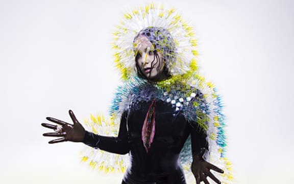Bjork-Vulcinura