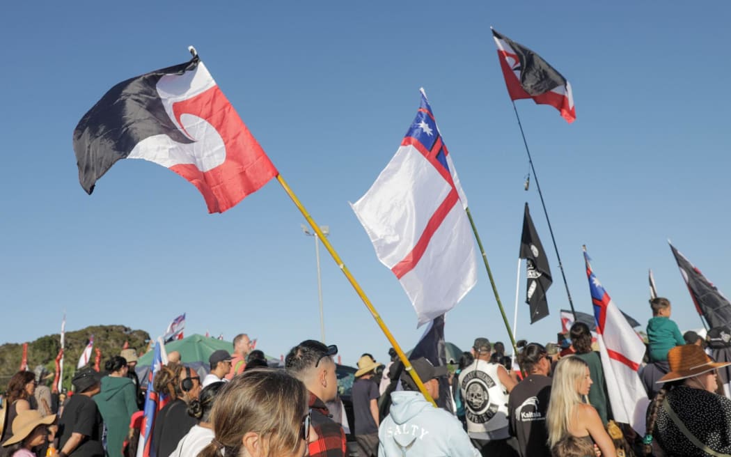 Some of the hikoi that has arrived at Waitangi on 6 February, 2024.