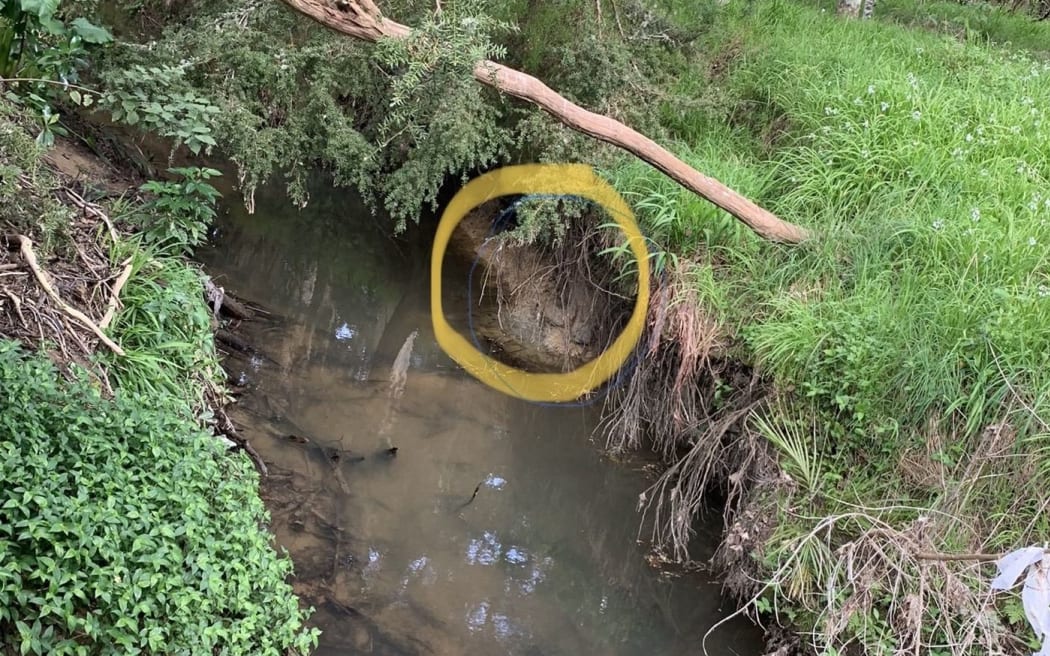 The riverbank_where Burrito was found