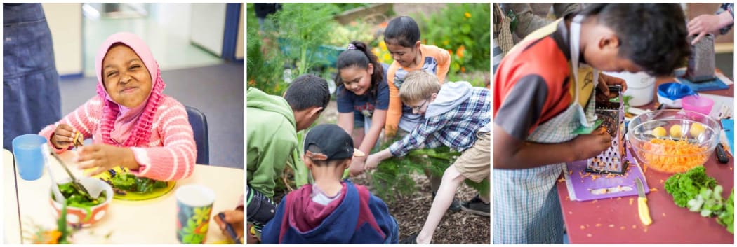 Garden to Table