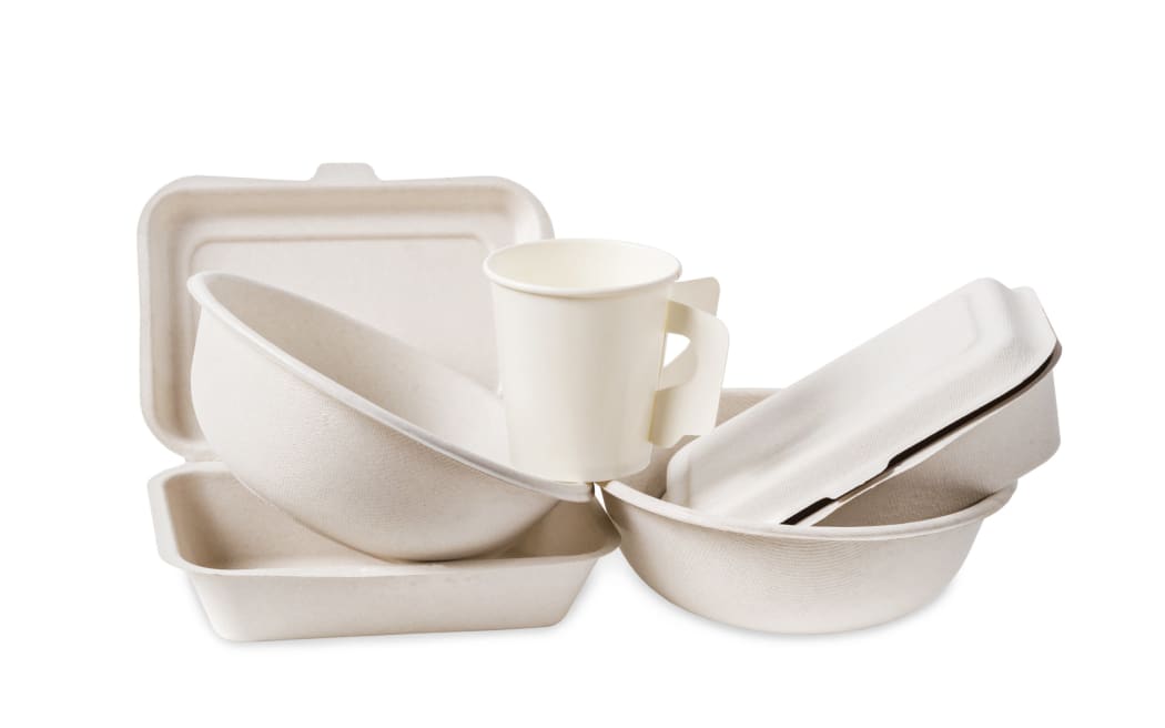 Food containers made of bagasse