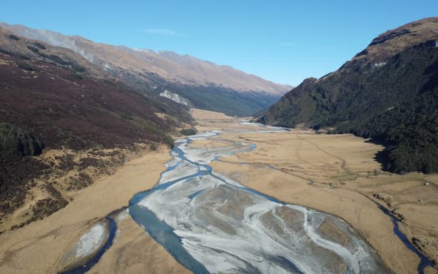 Rees Valley turns love nest as threatened takahē thrive | RNZ