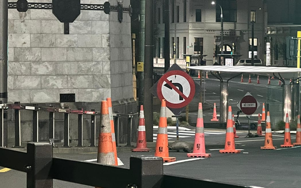 Barricades set up outside Parliament in Wellington on 21 August 2022.