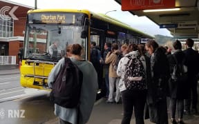 More time needed to fix Wellington's bus problems