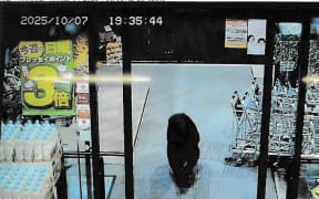 This handout photo taken on October 7, 2025 and released by Gunma Prefectural Police via Jiji Press shows CCTV camera footage of a bear walking inside a supermarket in Numata, Gunma prefecture. Bears have killed a record seven people in Japan this year, the highest since 2006 when the survey started, an environment ministry official said October 16. (Photo by Handout / various sources / AFP) / Japan OUT / JAPAN OUT / JAPAN OUT / -----EDITORS NOTE --- RESTRICTED TO EDITORIAL USE - MANDATORY CREDIT "AFP PHOTO / GUNMA PREFECTURAL POLICE VIA JIJI PRESS" - NO MARKETING - NO ADVERTISING CAMPAIGNS - DISTRIBUTED AS A SERVICE TO CLIENTS