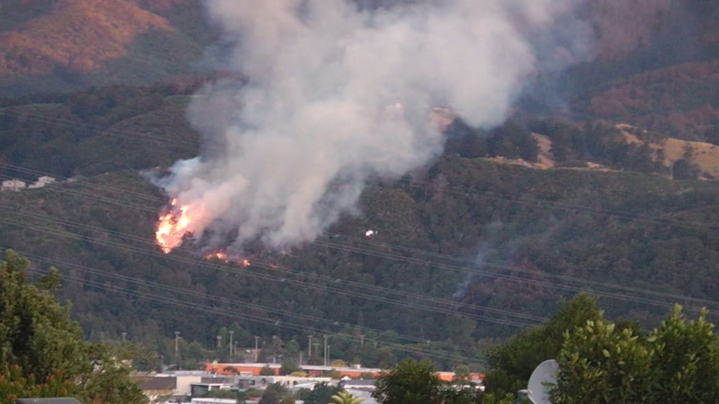 A second scrub fire started in Upper Hutt just as the first one was put out.