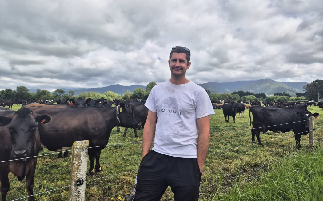 Michael Phillips of Waka Dairies with his herd of dairy cows.