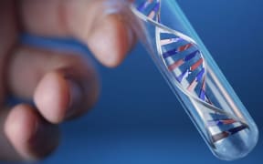 dna testing