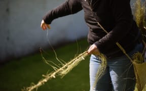 Dunedin artist Kari Morseth's Rope/Walk art project