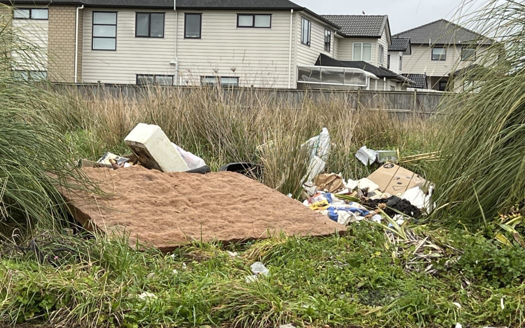 Some of the illegal rubbish dumped on empty lots that continues to persist in the community