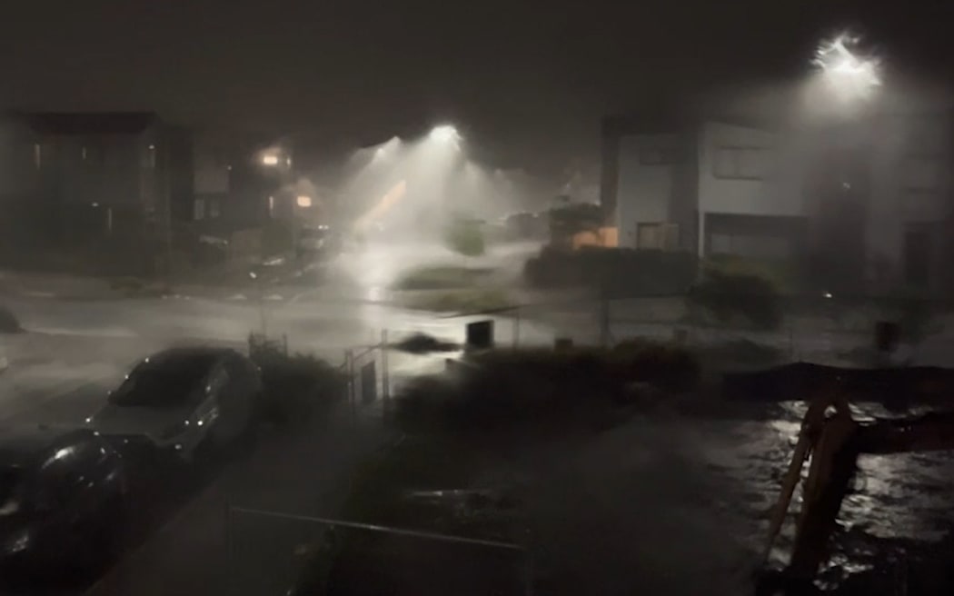 Hobsonville weather
