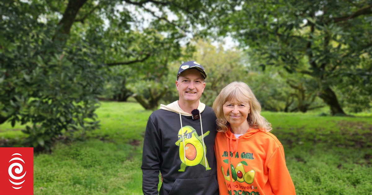 Country Life: Spreading the word about avocados