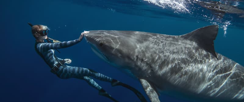 Shark Whisperer. Ocean Ramsey in Shark Whisperer. Cr. Courtesy of Netflix © 2025
