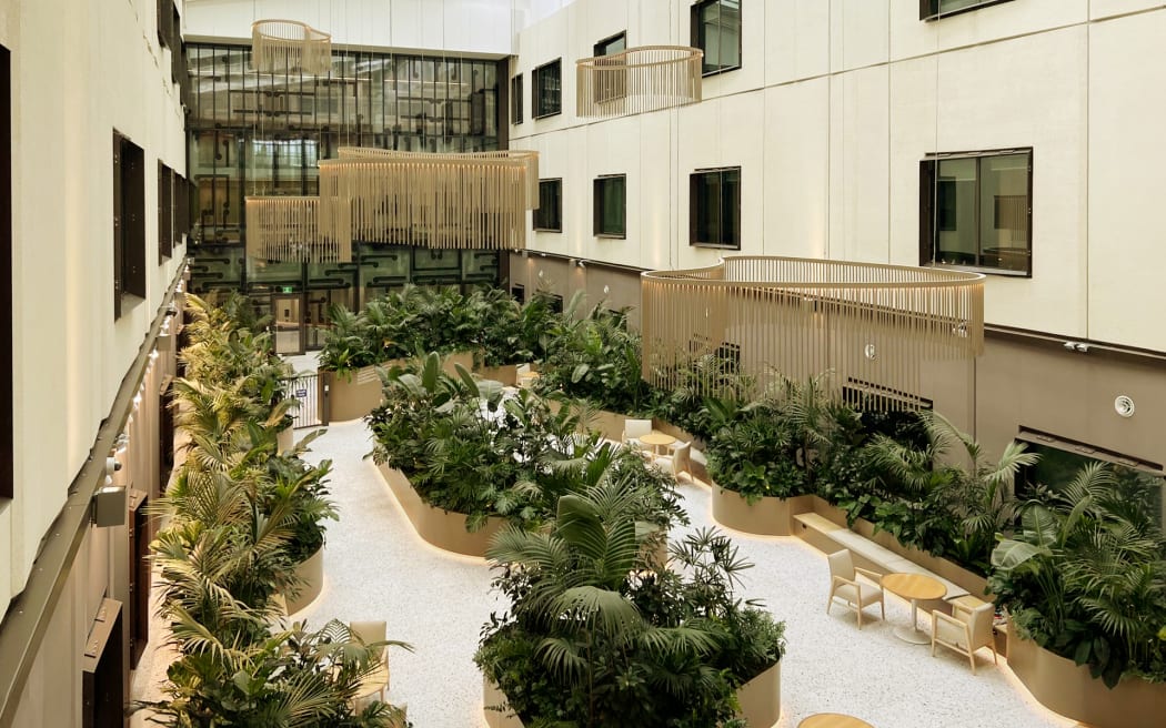 The garden inside Totara Haumaru at North Shore Hospital