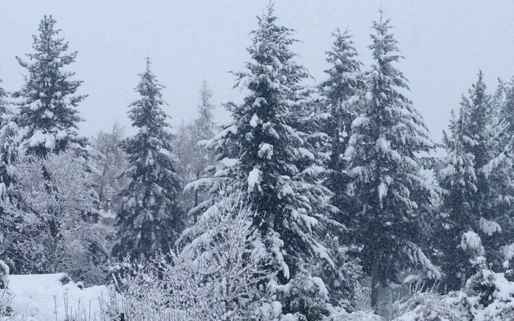 Snow at Hamner Springs.