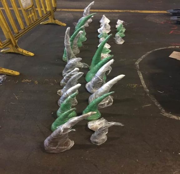 South African authorities seized 116 kilograms of illegal rhino horn being smuggled out of the country.