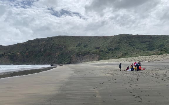 A group of swimmers got in trouble at Bethells Beach.