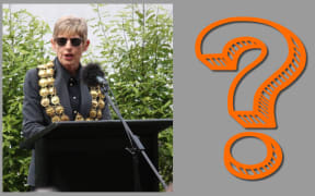 Lianne Dalziel, question mark