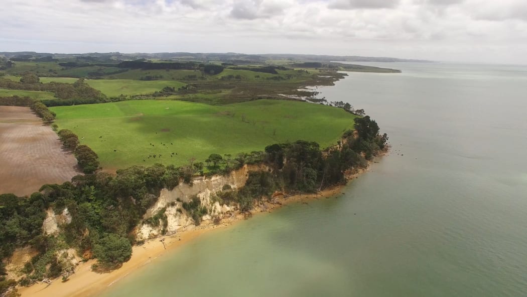Drone shot of Kaipara Harbour with farm land of South Head in foreground, New Zealand
