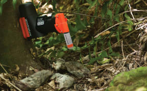 The rat trap can reset itself up to 24 times.