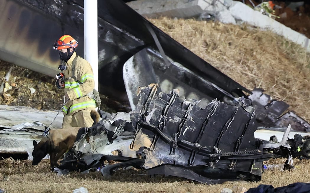 A firefighter and a dog work near the scene where a Jeju Air Boeing 737-800 series aircraft crashed and burst into flames at Muan International Airport in South Jeolla Province, some 288 kilometres southwest of Seoul on December 29, 2024. - A Jeju Air plane carrying 181 people from Thailand to South Korea crashed on arrival, smashing into a barrier and bursting into flames, leaving all but two feared dead.