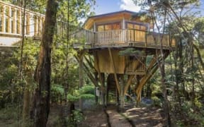 The council found 380 square metres of land was cleared to build the treehouse